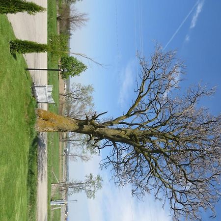 Newburg Inn Motel New Hamburg ภายนอก รูปภาพ