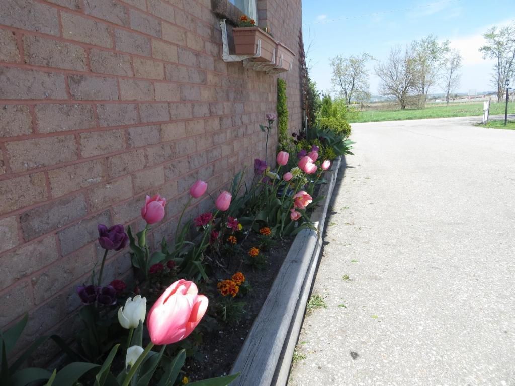 Newburg Inn Motel New Hamburg ภายนอก รูปภาพ